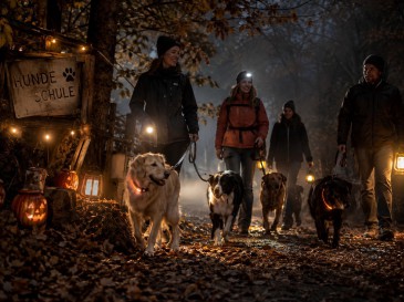 ChatGPT:  Auf dem Foto ist eine fröhliche Gruppe von Menschen zu sehen, die sich auf einer Wiese vor einem Wald versammelt hat. Alle Personen winken in die Kamera und wirken gut gelaunt. Die Gruppe besteht aus Männern, Frauen und Kindern – insgesamt etwa